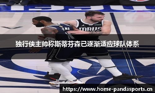 熊猫体育官网