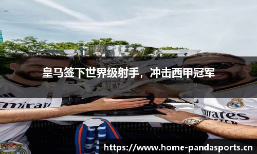 熊猫体育