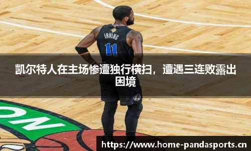 熊猫体育官网