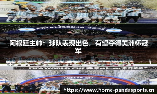 熊猫体育平台