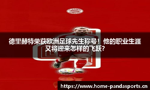 熊猫体育官网