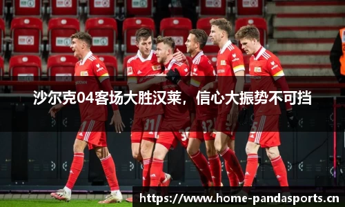 熊猫体育官网