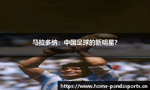 熊猫体育平台