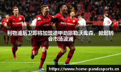 熊猫体育平台