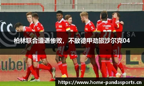 熊猫体育