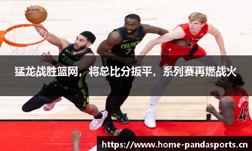 熊猫体育官方网站