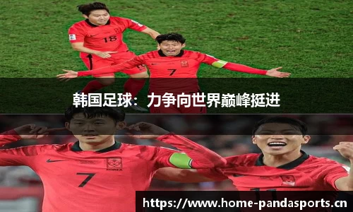 熊猫体育官网