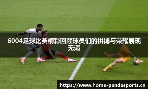 熊猫体育官方网站