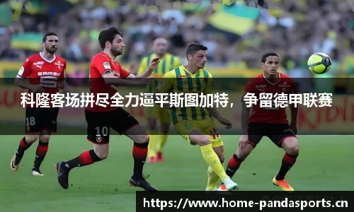 熊猫体育平台