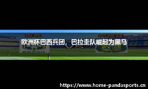 熊猫体育官网
