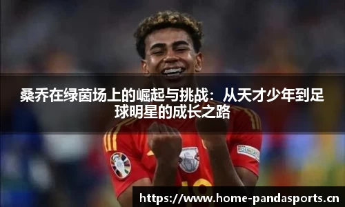 熊猫体育官方网站