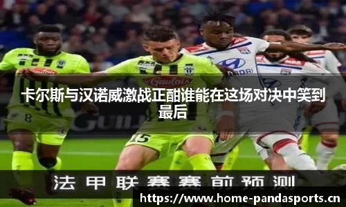 熊猫体育平台
