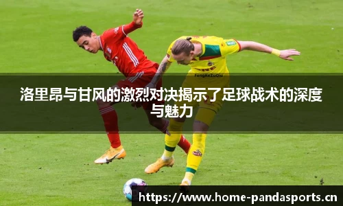 熊猫体育官网