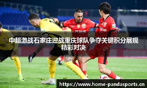 熊猫体育