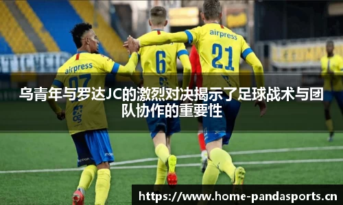熊猫体育平台
