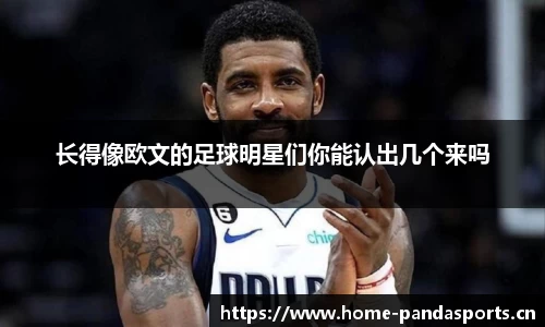 熊猫体育平台