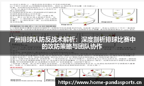 熊猫体育