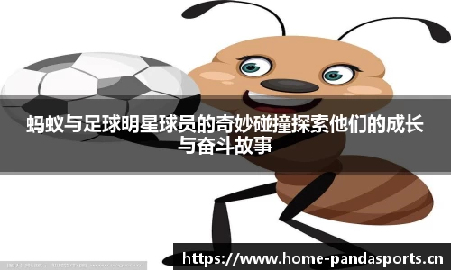 熊猫体育官方网站